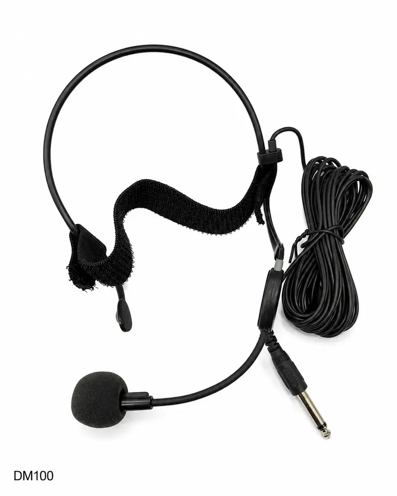 K-Audio Pro DM100