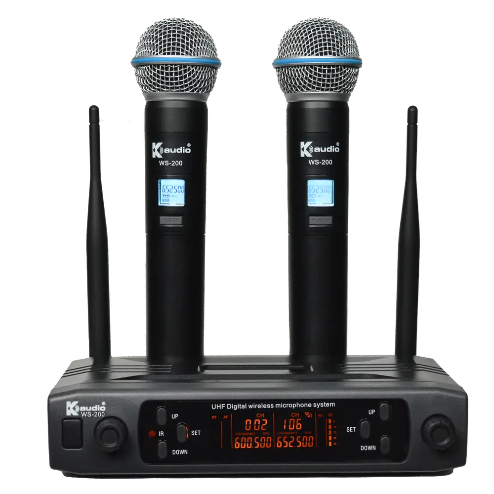 K-Audio Pro WS200
