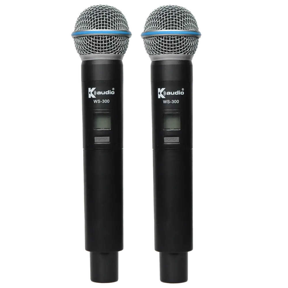 WS300 view 2