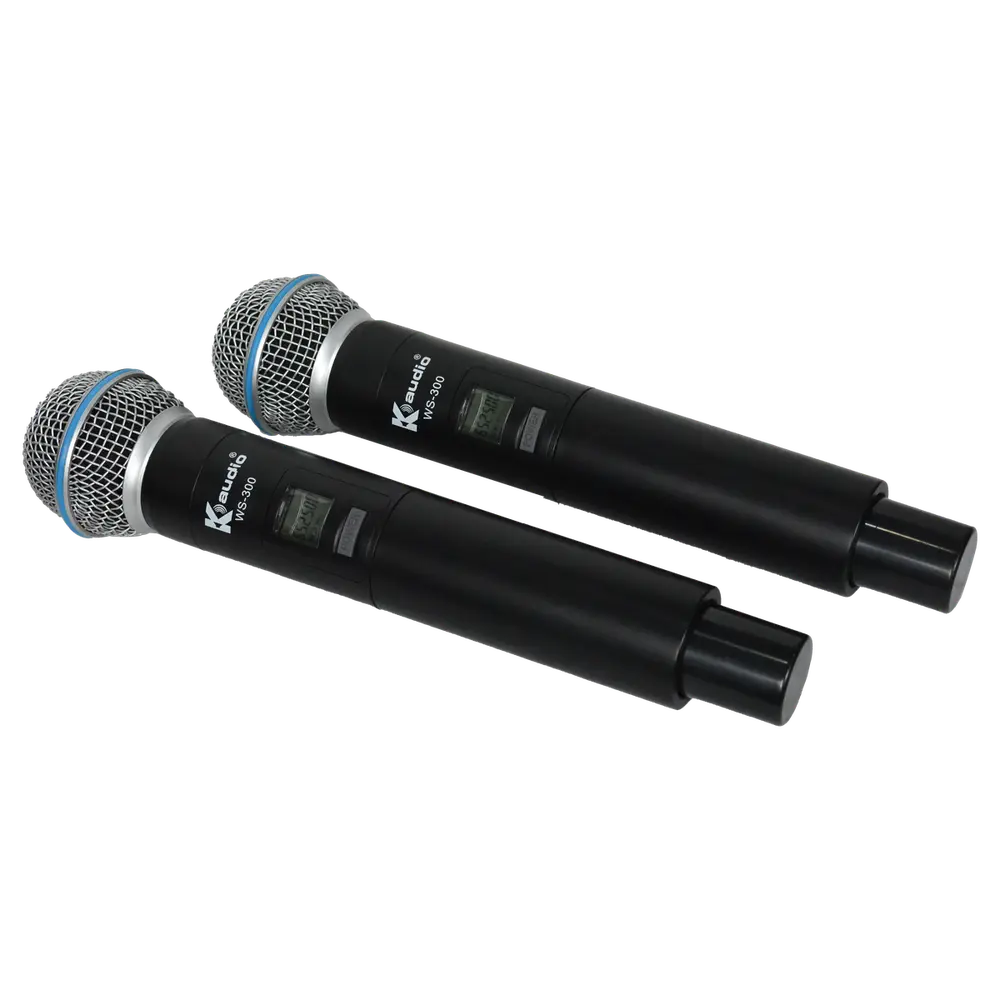WS300 view 3