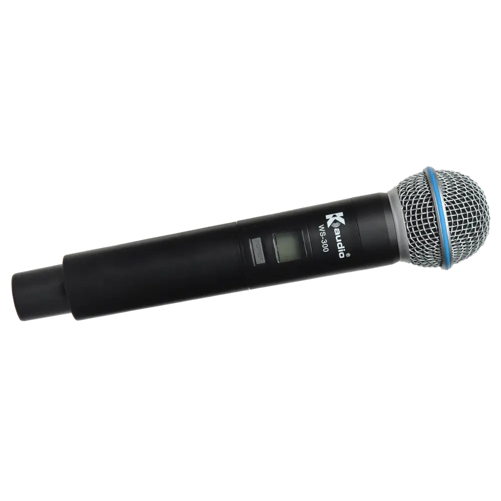 WS300 view 4
