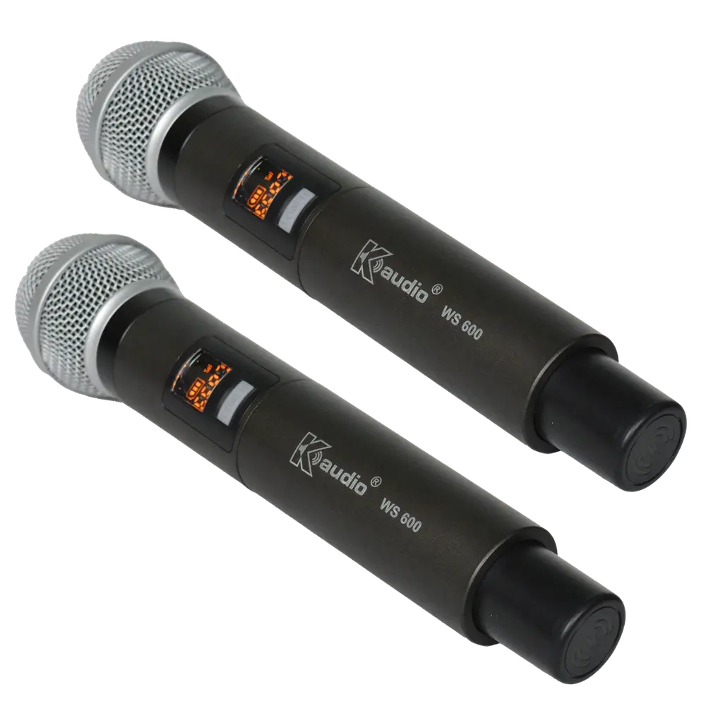 K-Audio Pro WS600